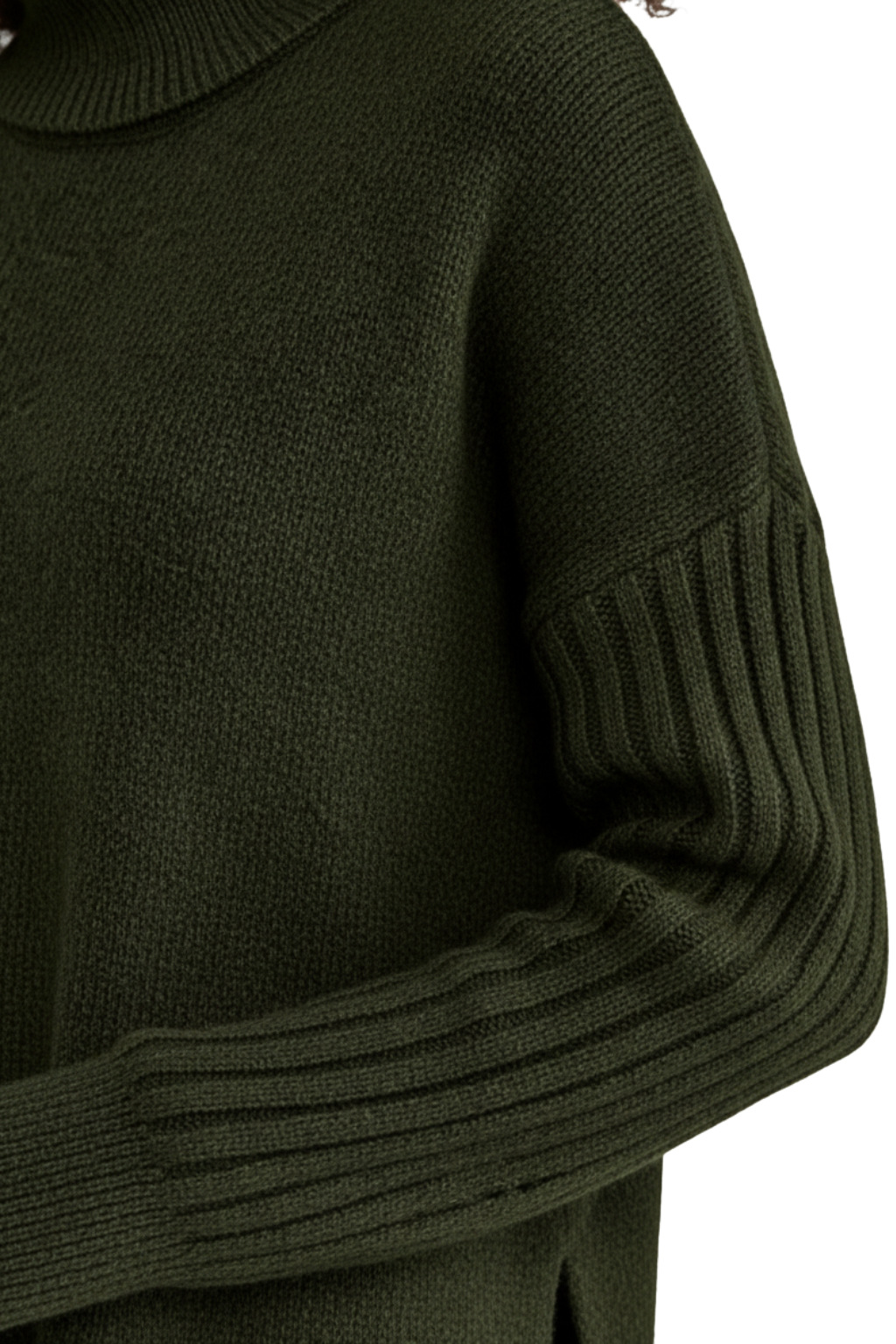 LIV | ELEGANT LONG TURTLENECK
