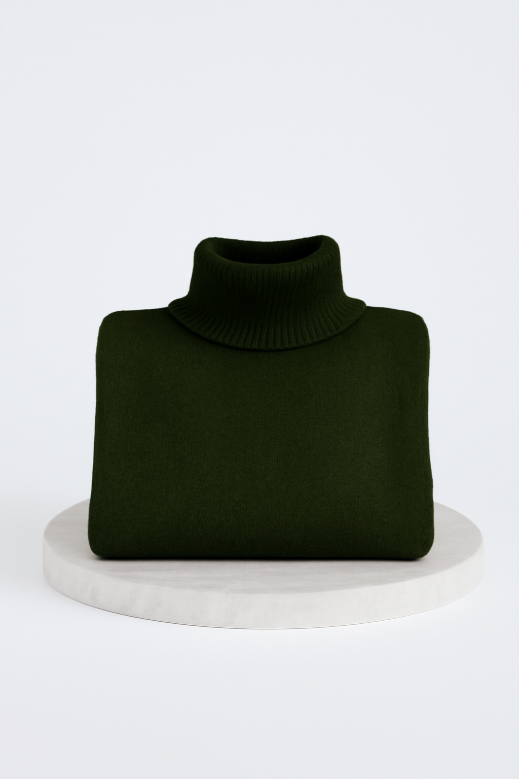 LIV | ELEGANT LONG TURTLENECK