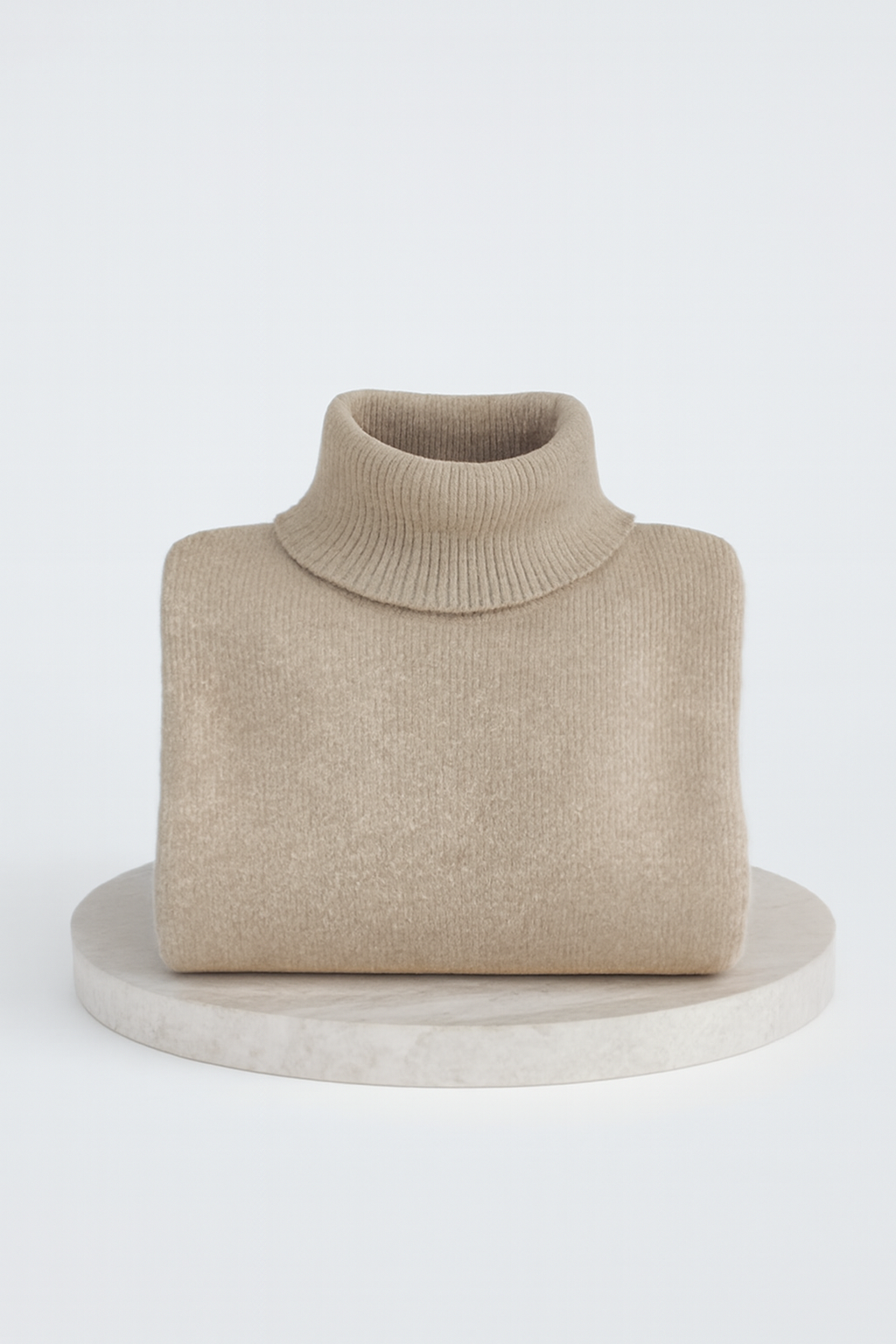 LIV | ELEGANT LONG TURTLENECK